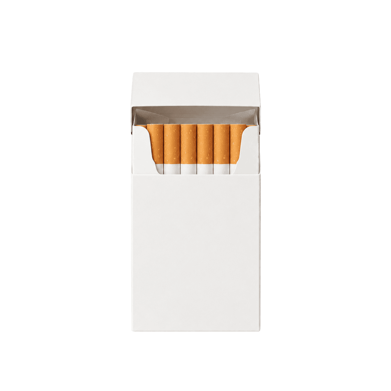CAMEL CRUSH BOX CASES ONLY 10/PK